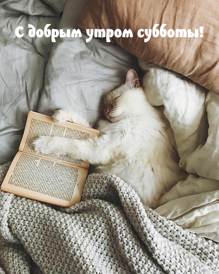 С добрым утром субботы!