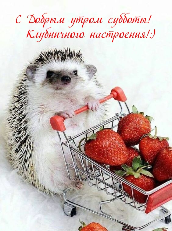 С Добрым утром субботы! Клубничного настроения!:)