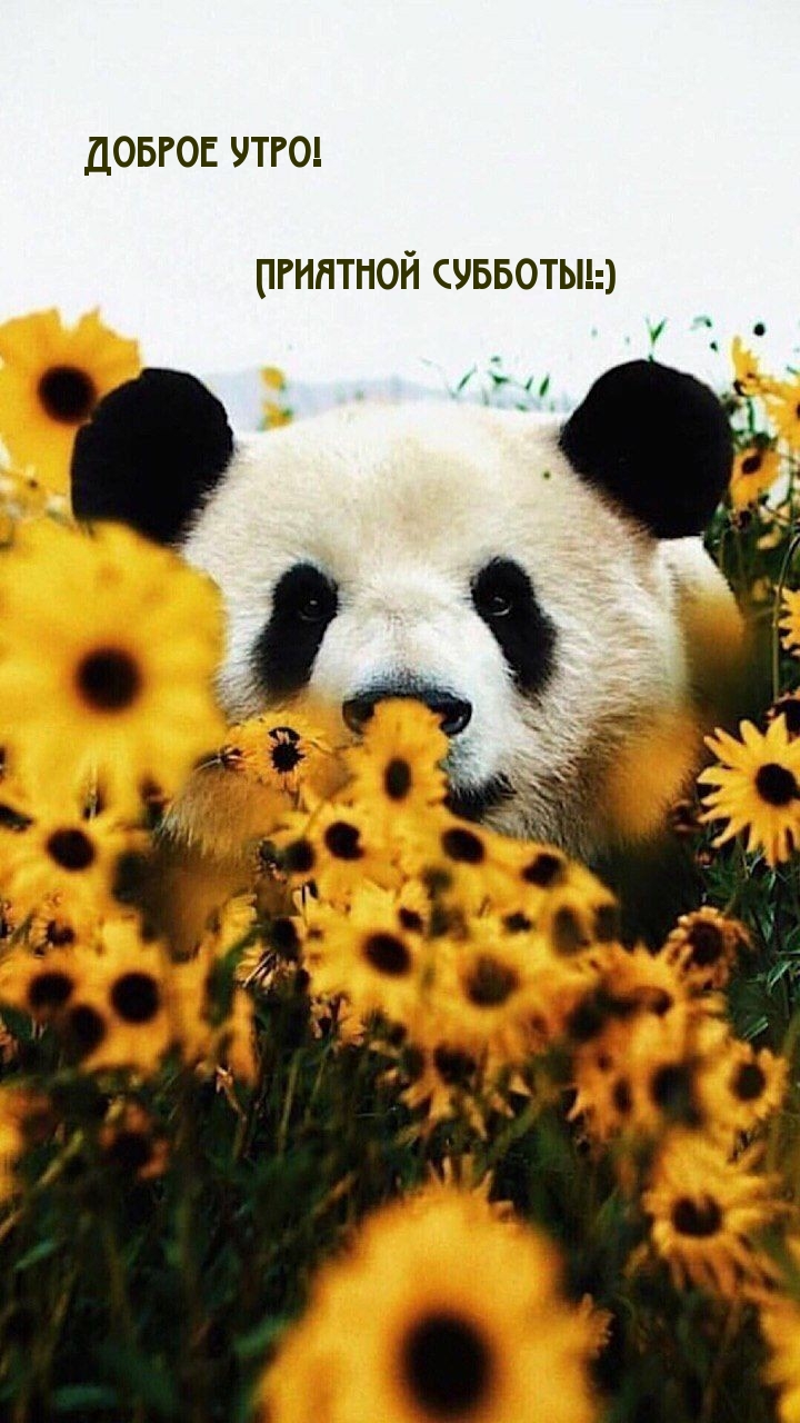 Доброе утро! Приятной субботы!:)
