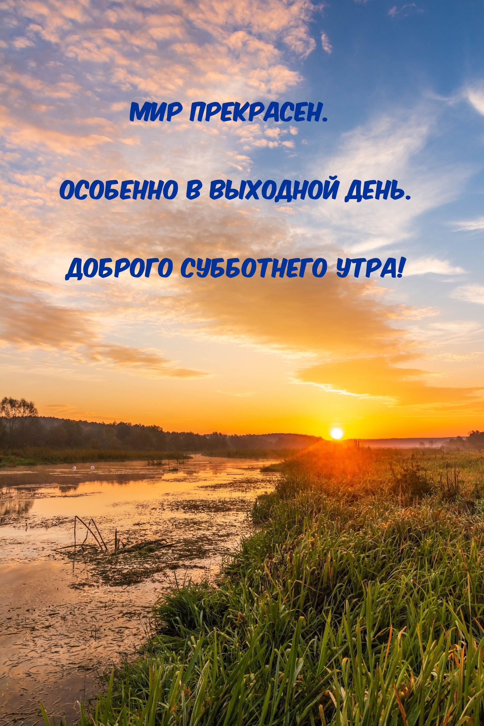 Мир прекрасен. особенно в выходной день