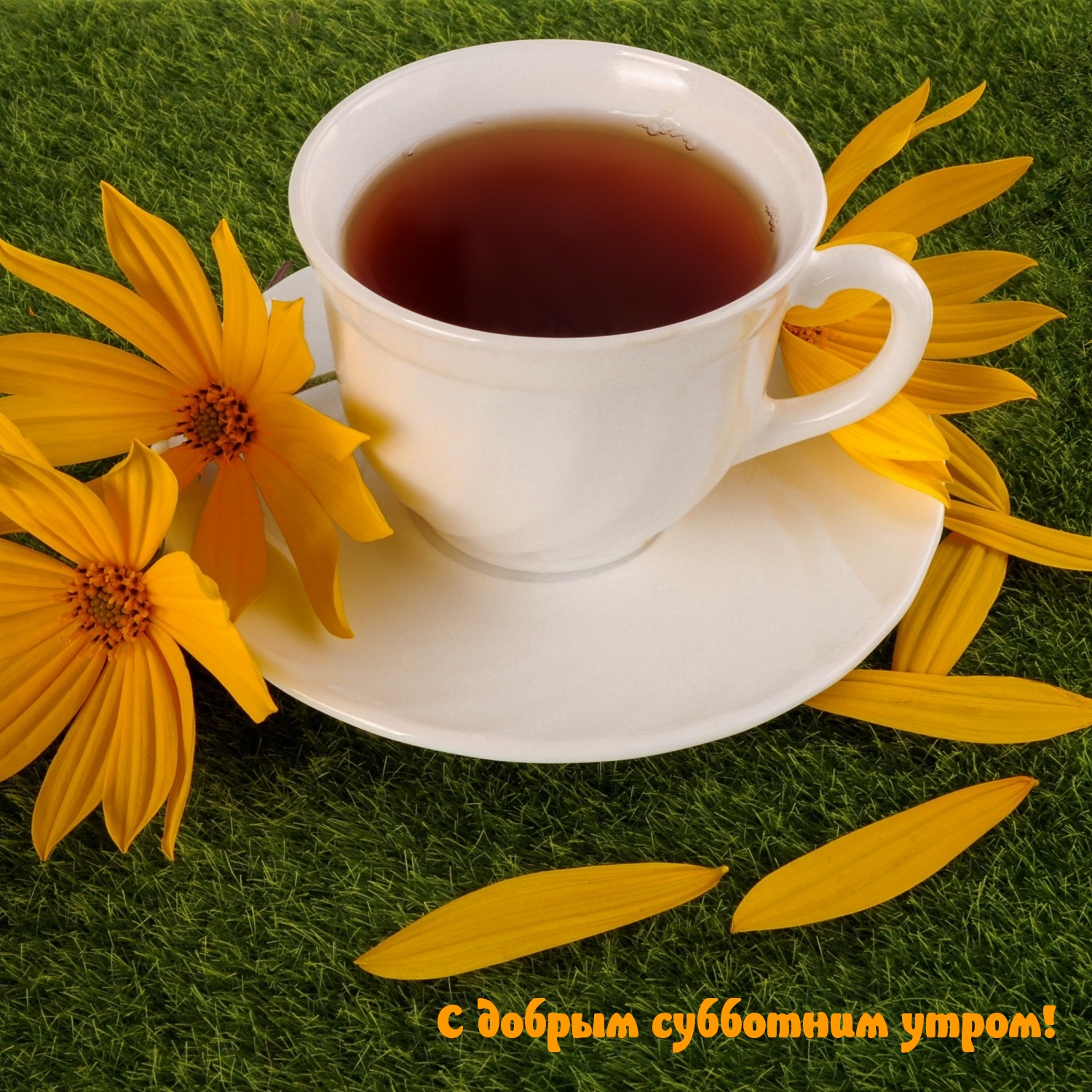 С добрым субботним утром!