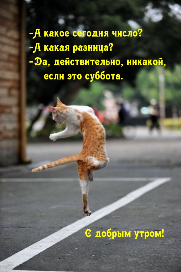 -А какое сегодня число? -А какая разница? Суббота!