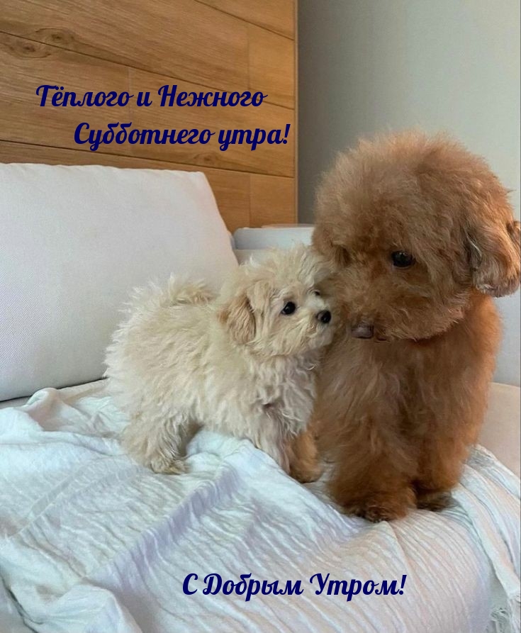 Тёплого и Нежного Субботнего утра!