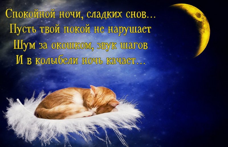 Спокойной ночи, сладких снов!