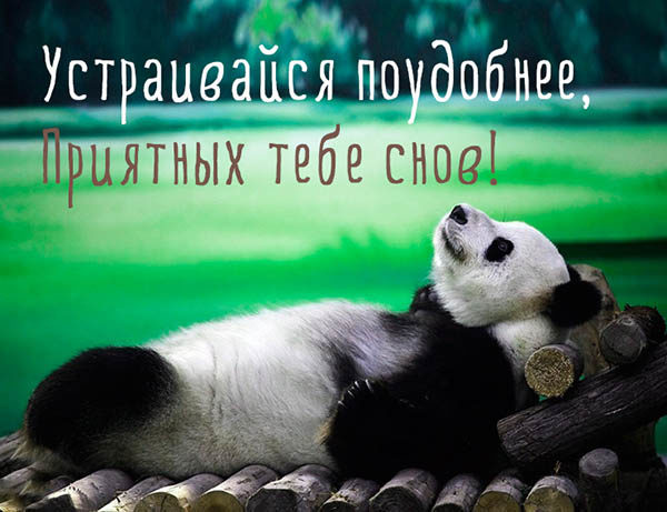 Устраивайся поудобнее, приятных тебе снов!