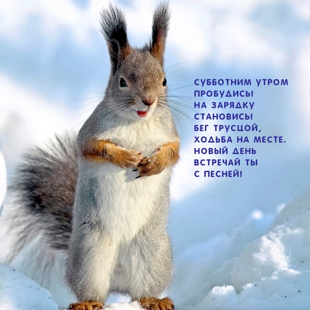 Субботним утром пробудись! На зарядку становись!