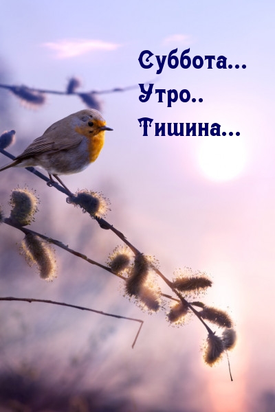 Суббота… Утро.. Тишина…