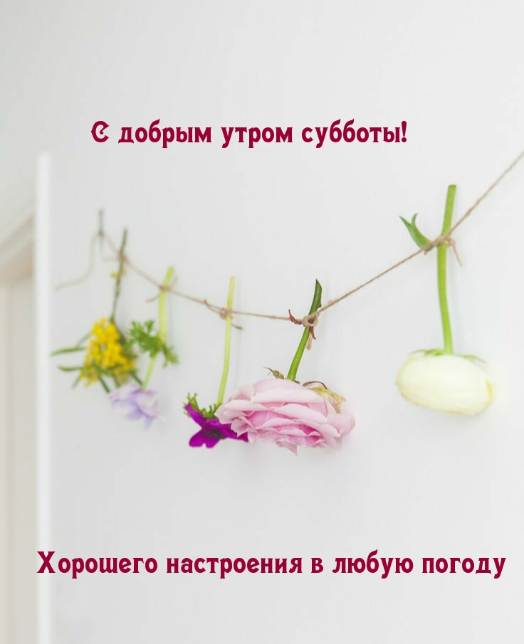 С добрым утром субботы! Хорошего настроения