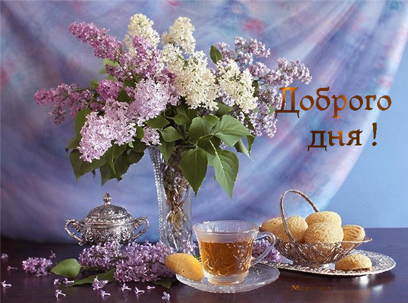 Доброго дня!