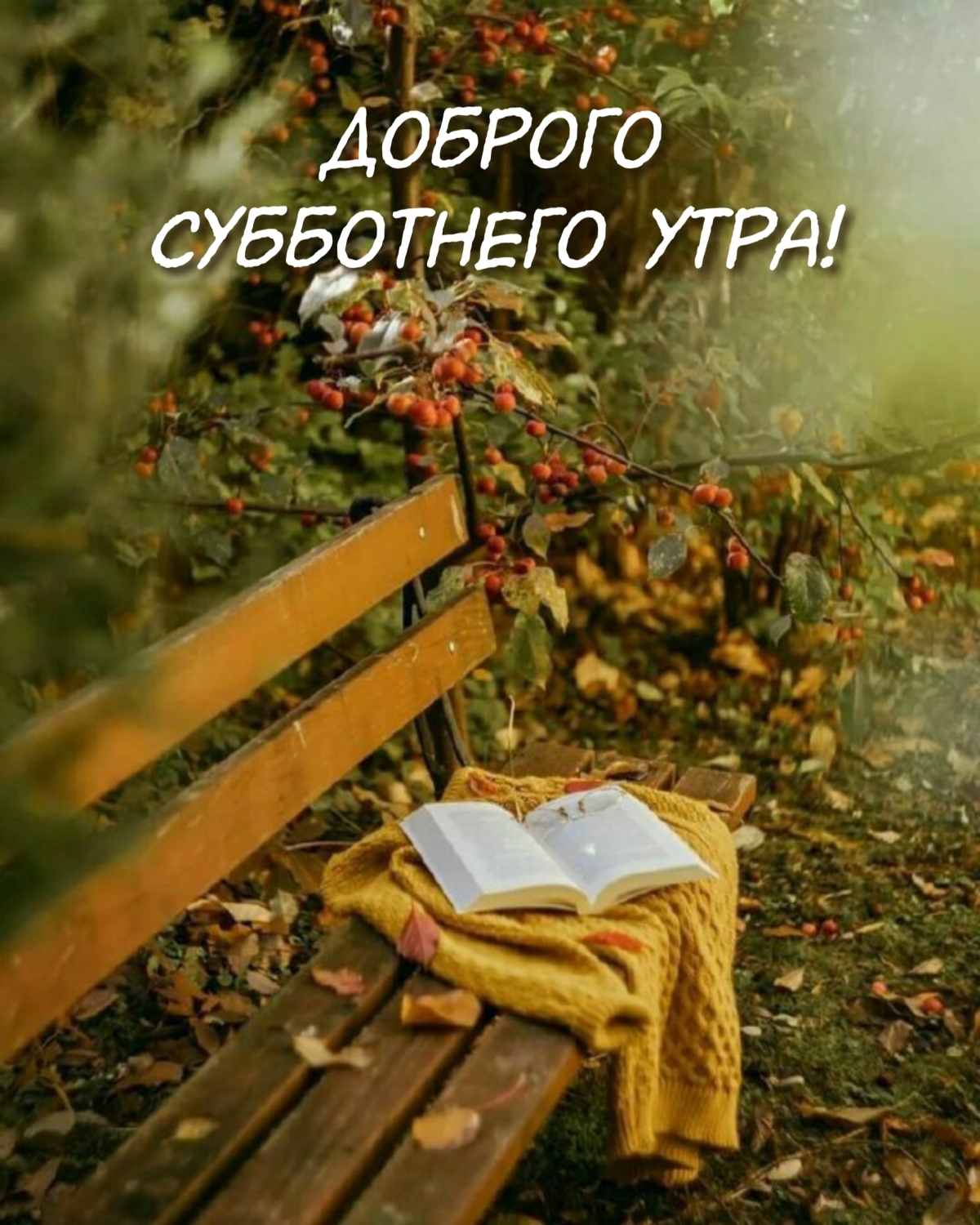 Картинка - Доброго субботнего утра!.