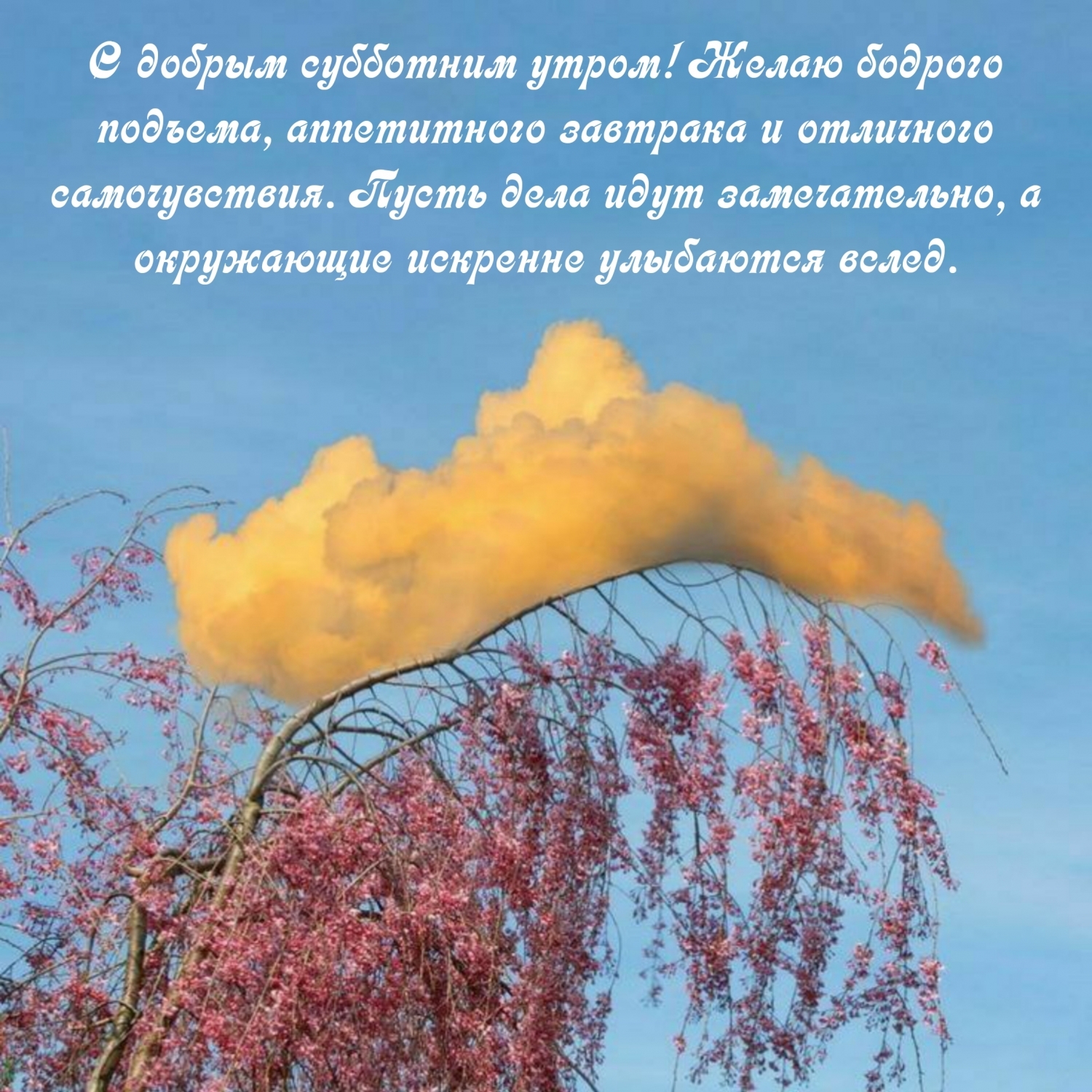 С добрым субботним утром! Желаю бодрого подъема