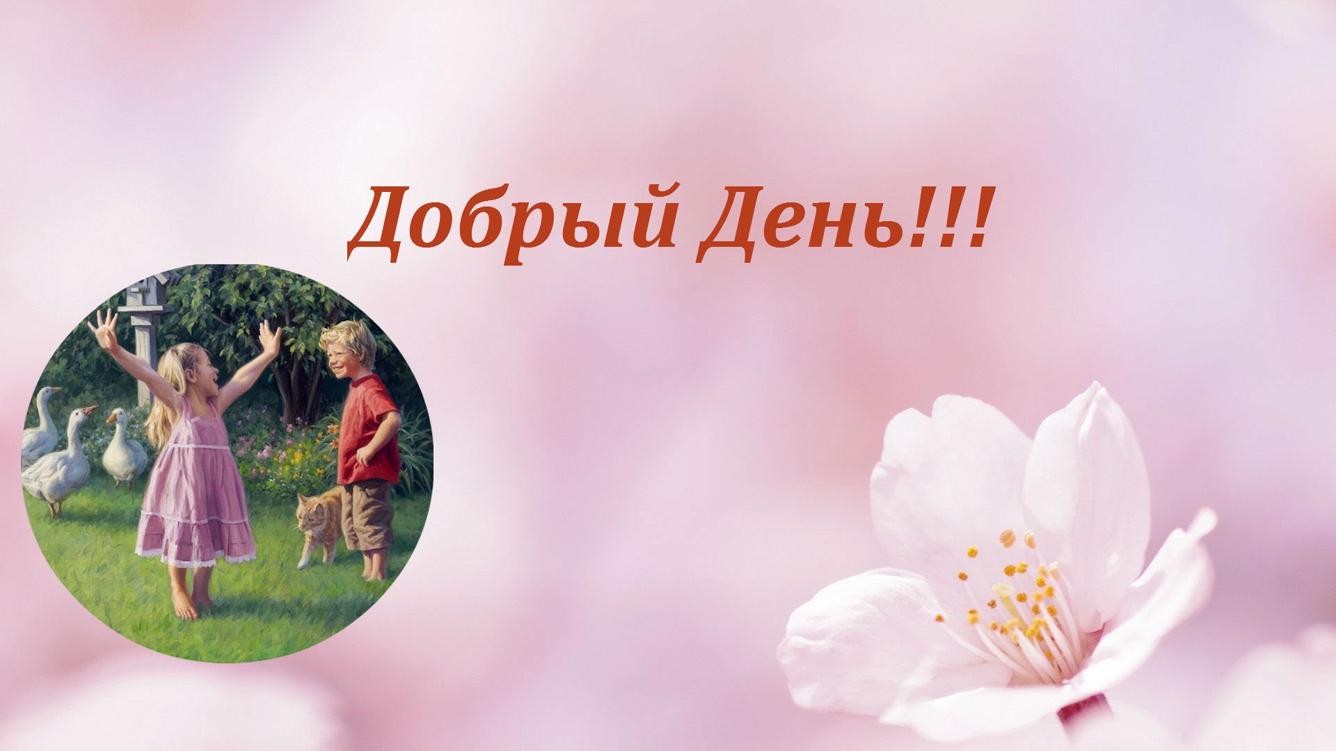 Картинка - Добрый день! .