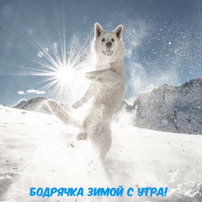 Бодрячка зимой с утра!