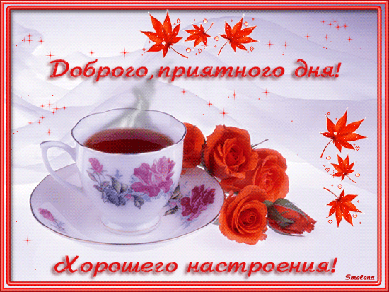 Доброго, приятного дня! Хорошего настроения!