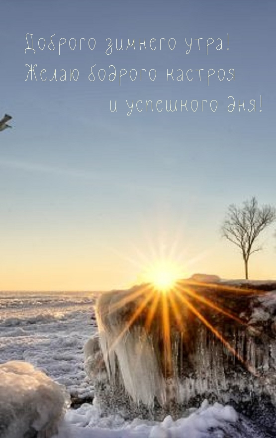 Доброго зимнего утра! Желаю бодрого настроя !
