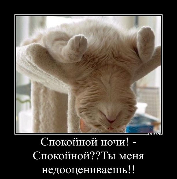 Спокойной ночи? ты меня недооцениваешь)