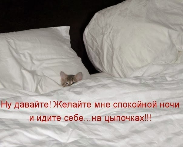 Желайте мне спокойной ночи и идите на цыпочках!