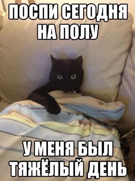 Поспи сегодня на полу! У меня тяжелый день!