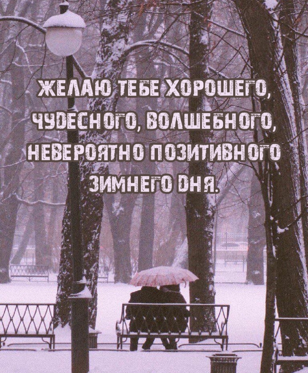 Невероятно позитивного зимнего дня!