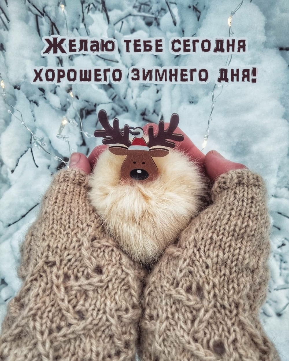Желаю тебе сегодня хорошего зимнего дня!