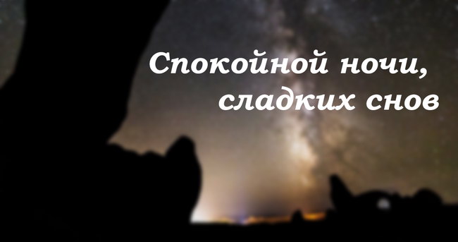 Сладких снов, спокойной ночи!