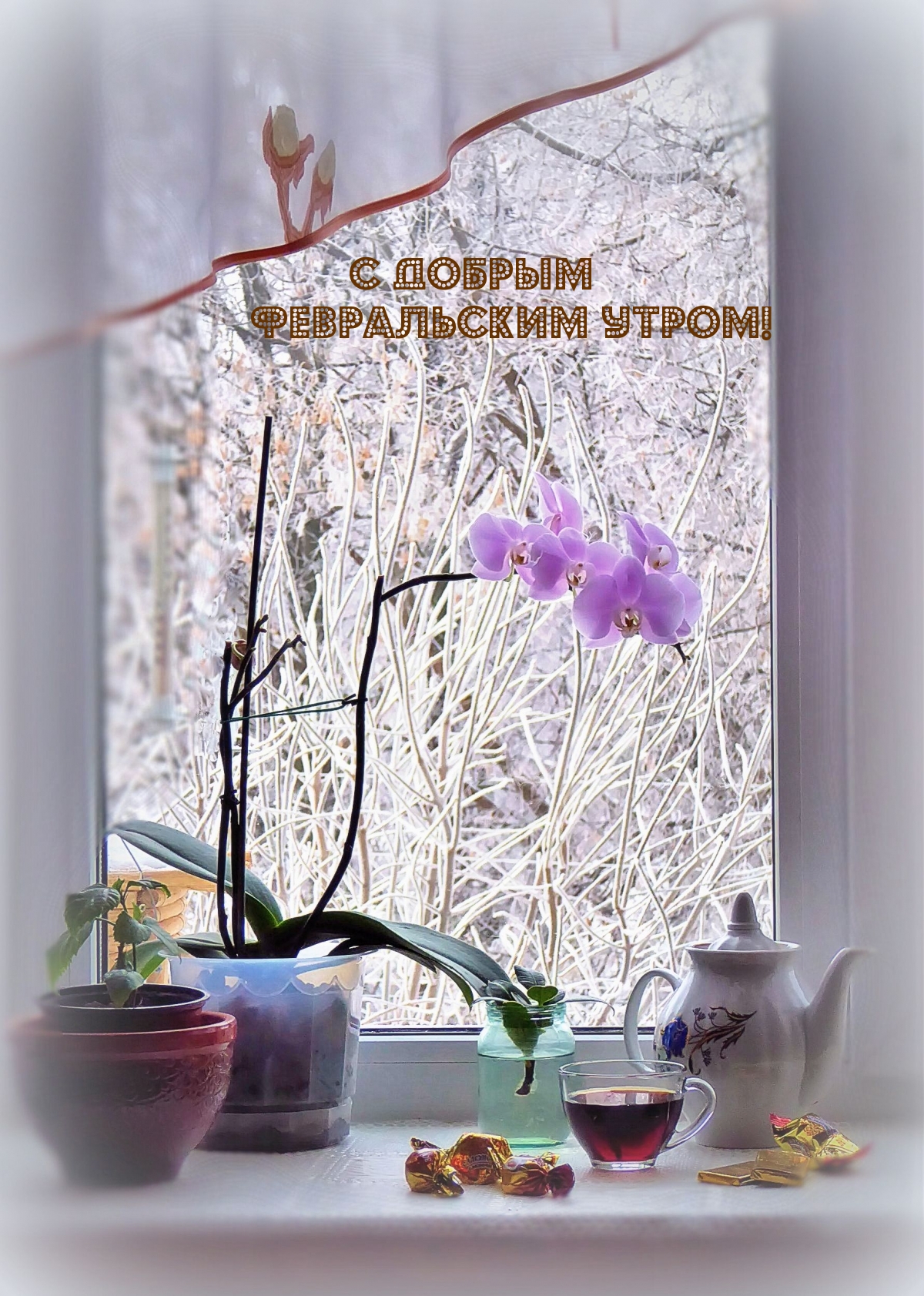 С добрым февральским утром!