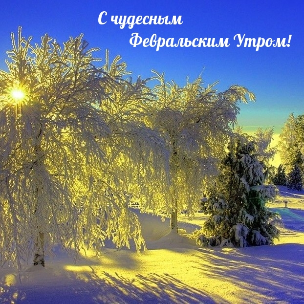 С чудесным Февральским Утром!