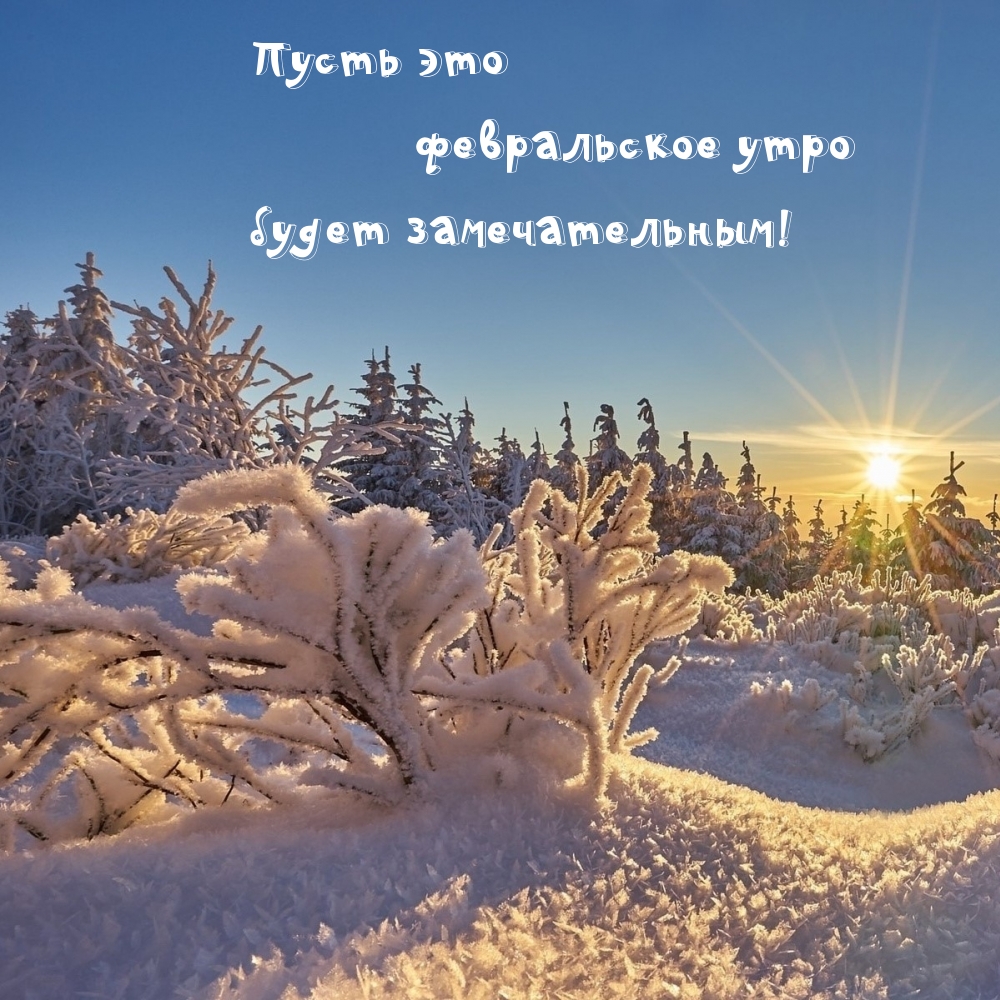 Пусть это февральское утро будет замечательным!
