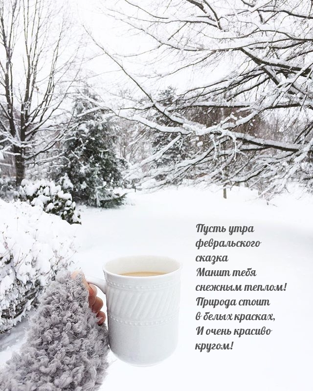 Утра февральского сказка манит тебя