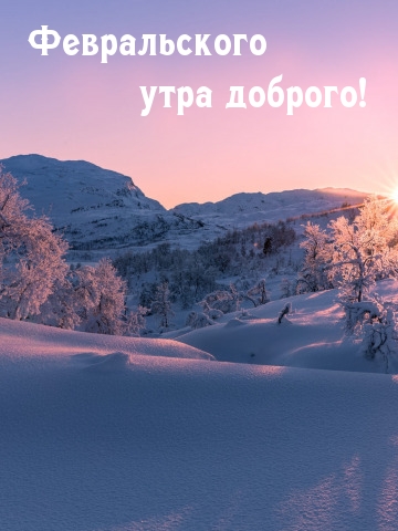 Февральского утра доброго!