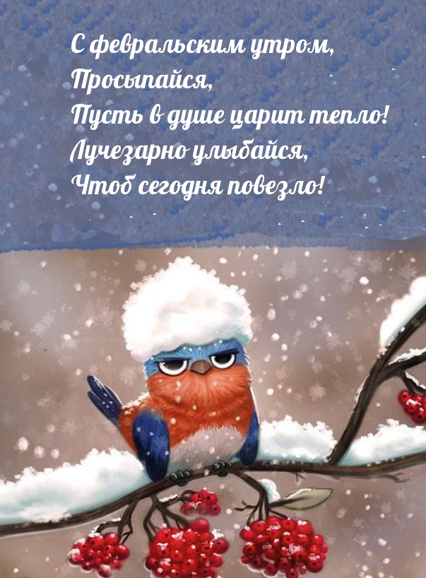 С февральским утром, Просыпайся!