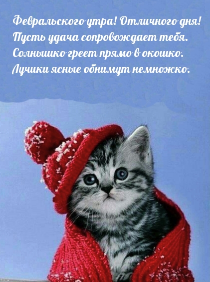 Февральского утра! Отличного дня!