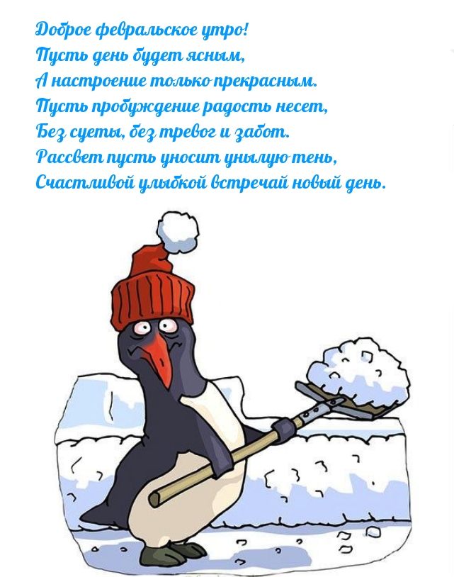Доброе февральское утро! Пусть день будет ясным