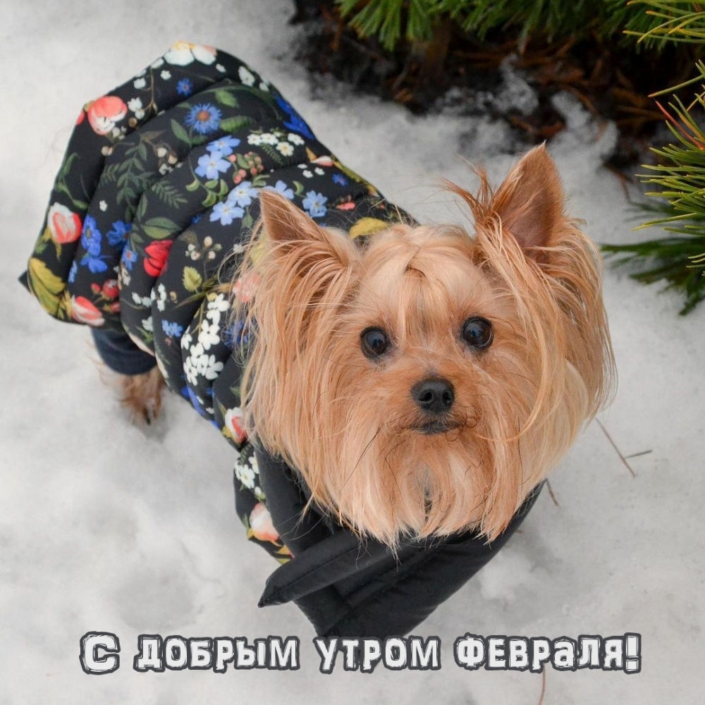 С добрым утром февраля!
