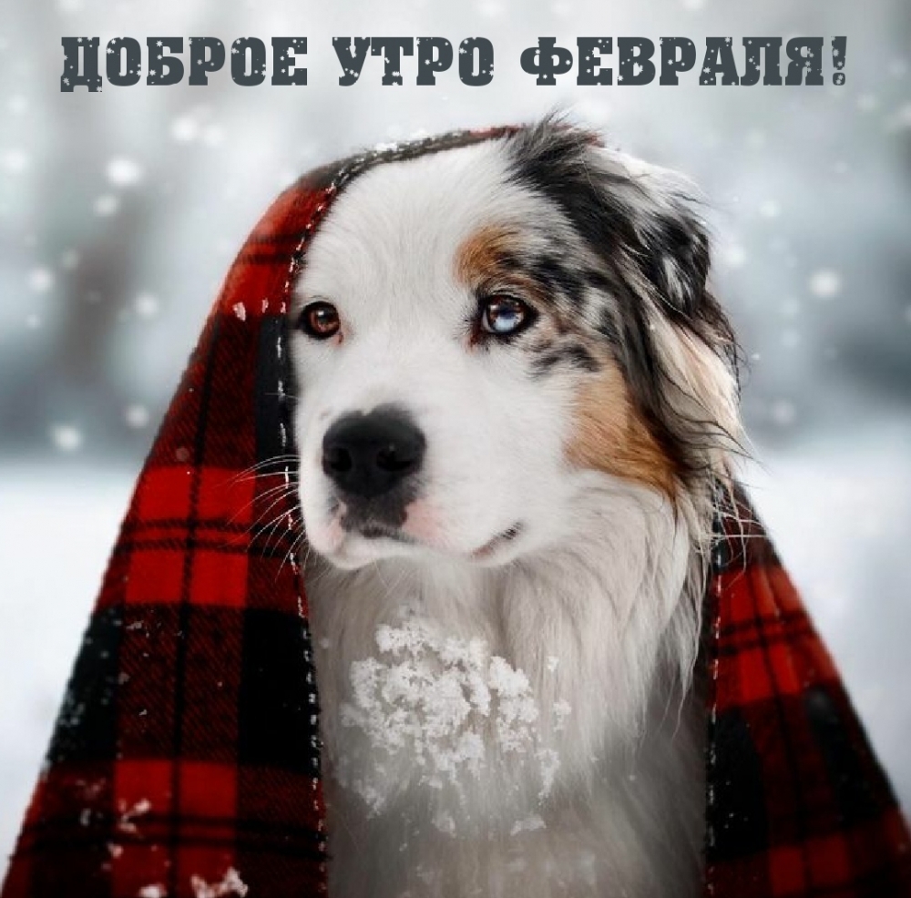 Доброе утро февраля!