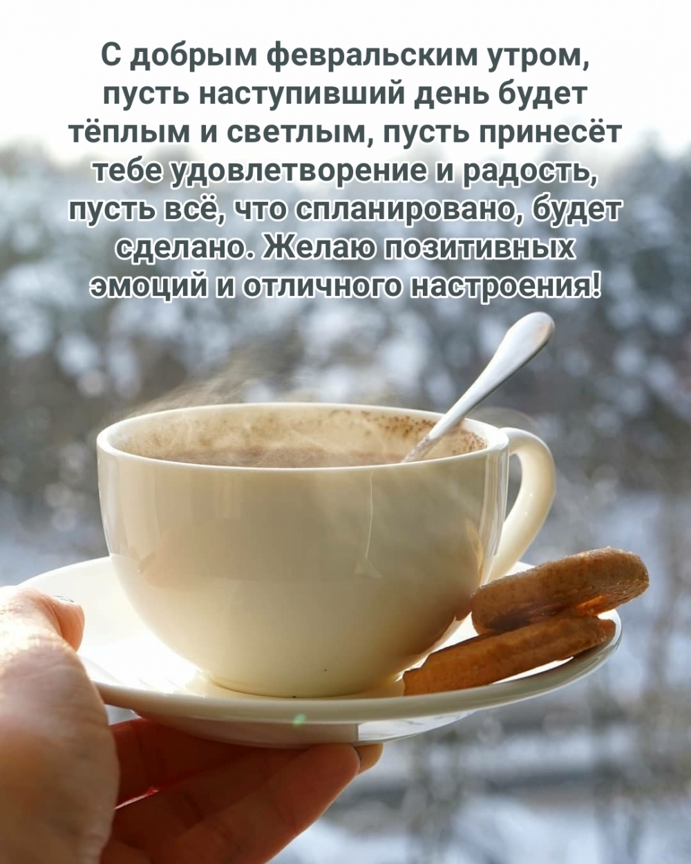 С добрым февральским утром, пусть наступивший день будет тёплым!