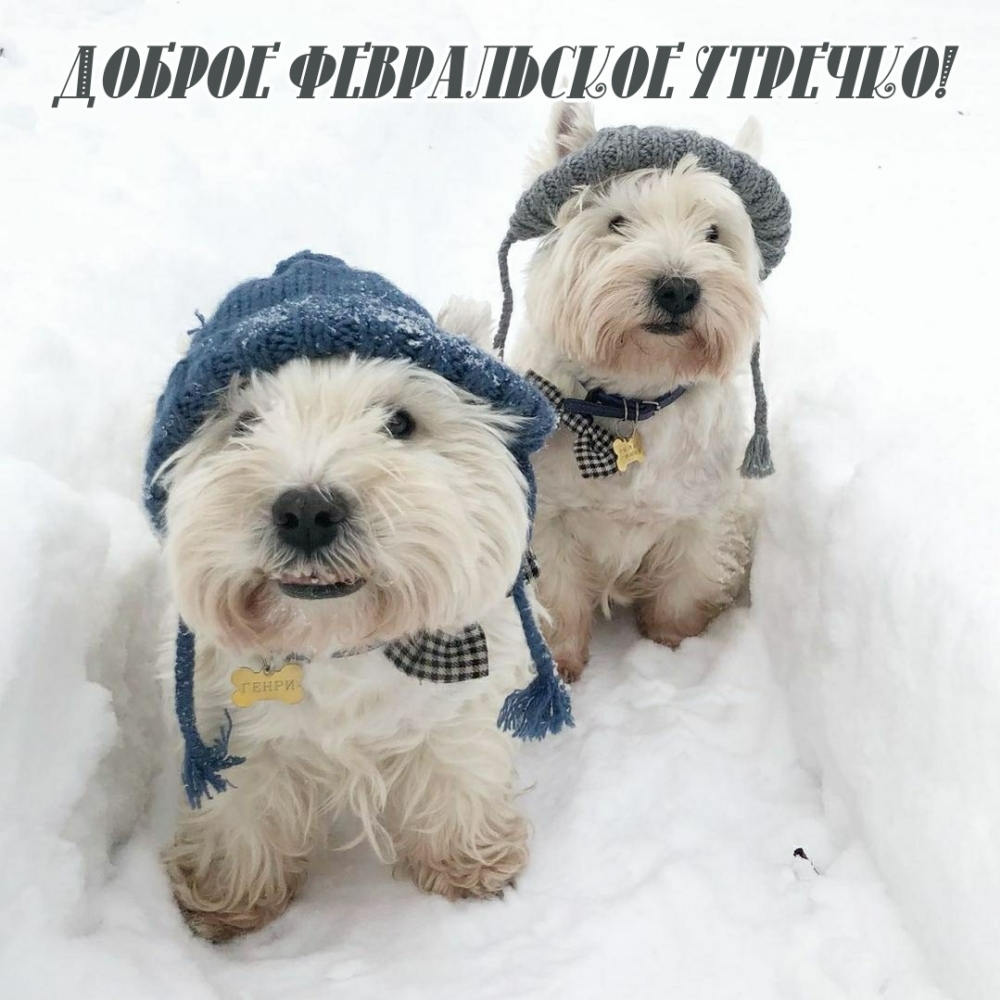 Доброе февральское утречко!