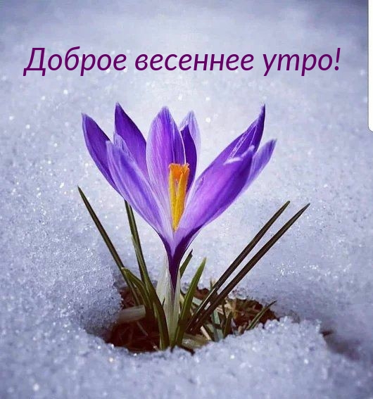 Доброе весеннее утро!