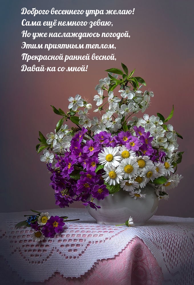 Доброго весеннего утра желаю! Сама ещё немного зеваю