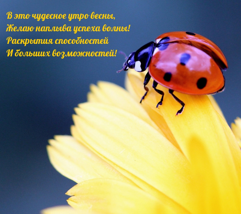 В это чудесное утро весны, желаю наплыва успеха волны!