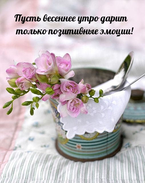 Пусть весеннее утро дарит только позитивные эмоции!