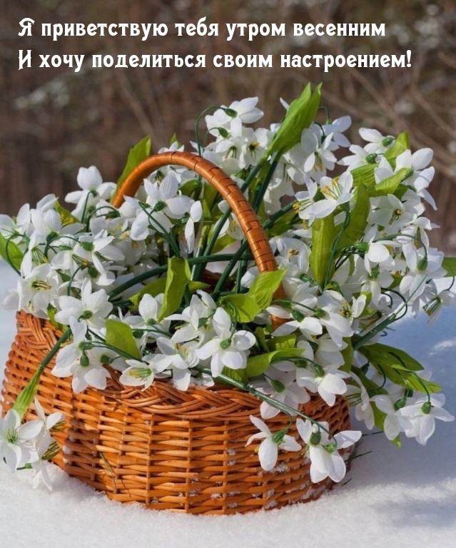 Приветствую утром весенним, хочу поделиться своим настроением!