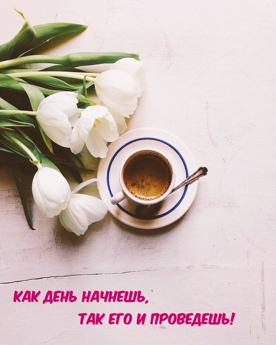 Как день начнешь,так его и проведешь!