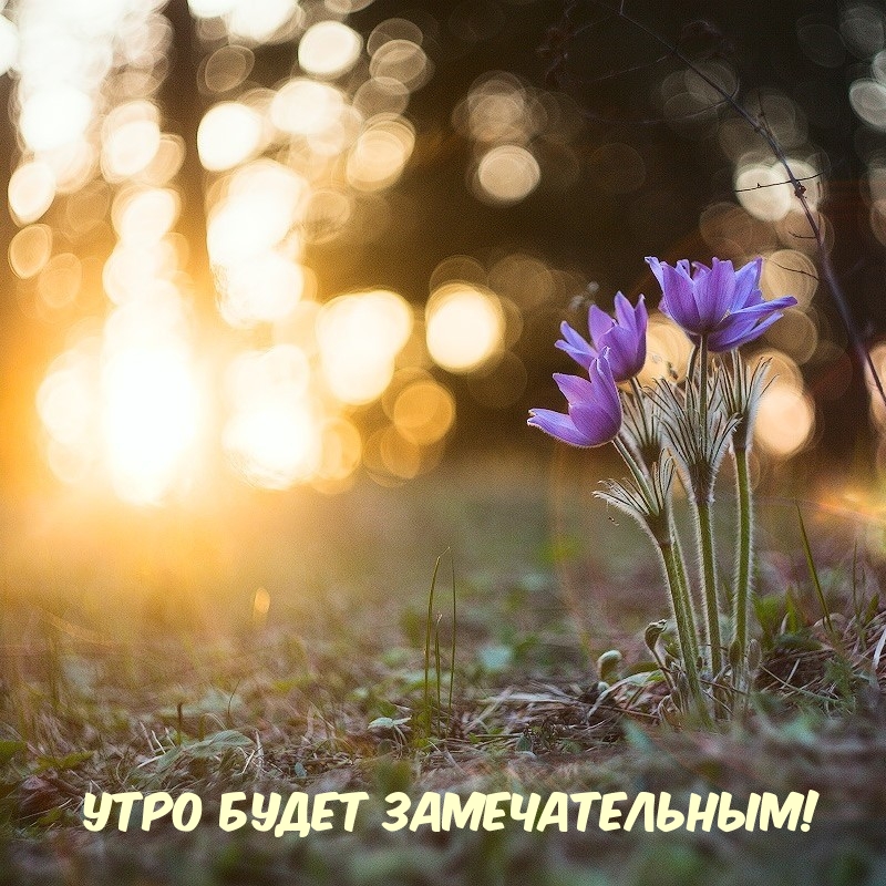 Утро будет замечательным!