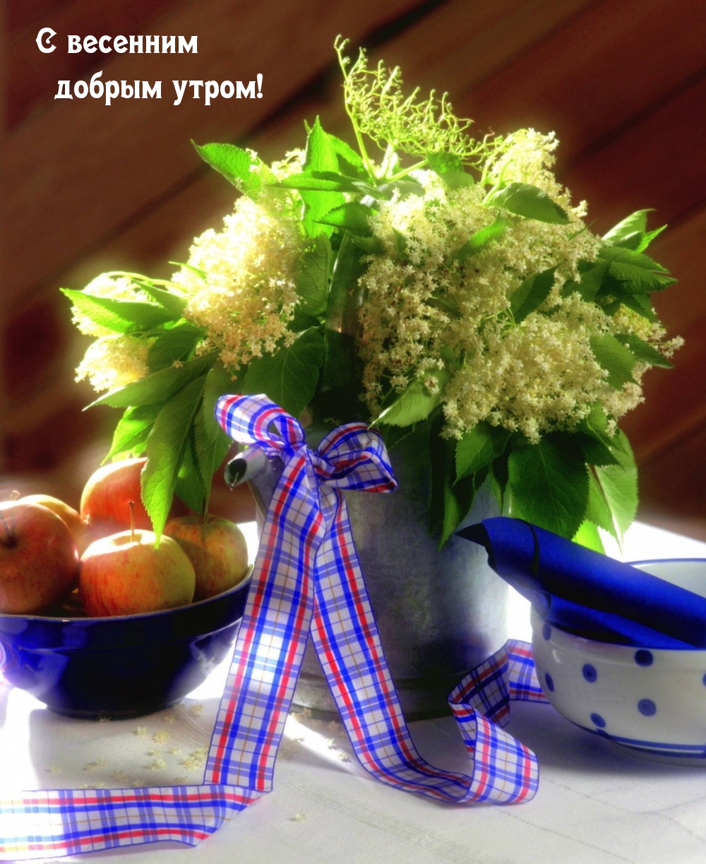 С весенним добрым утром!