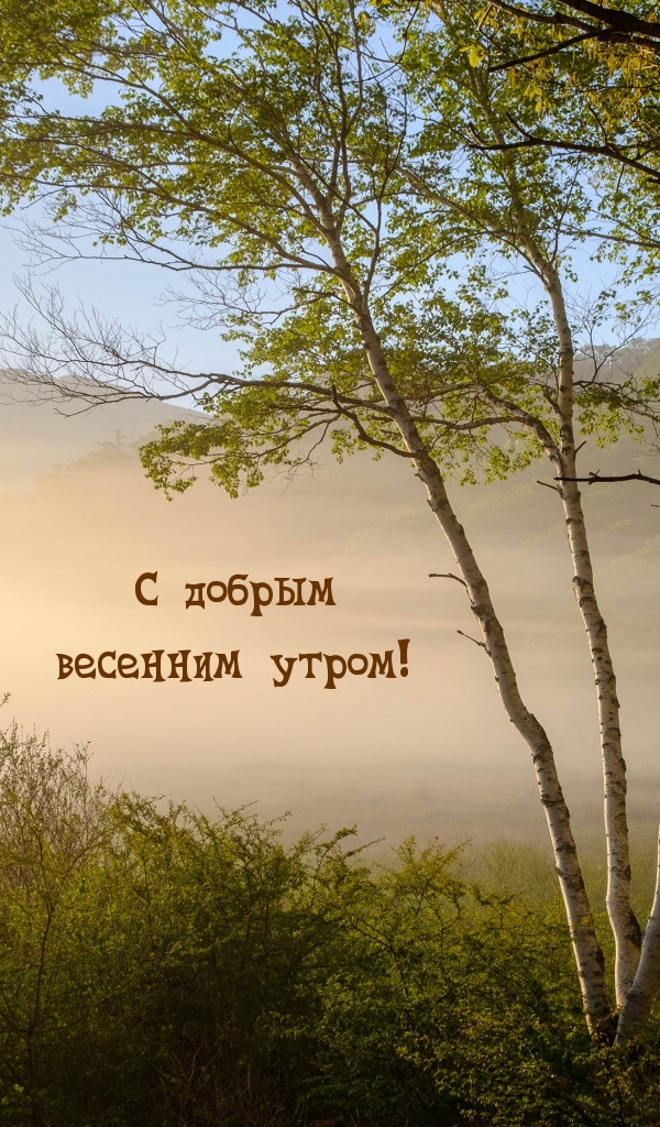 С добрым весенним утром!