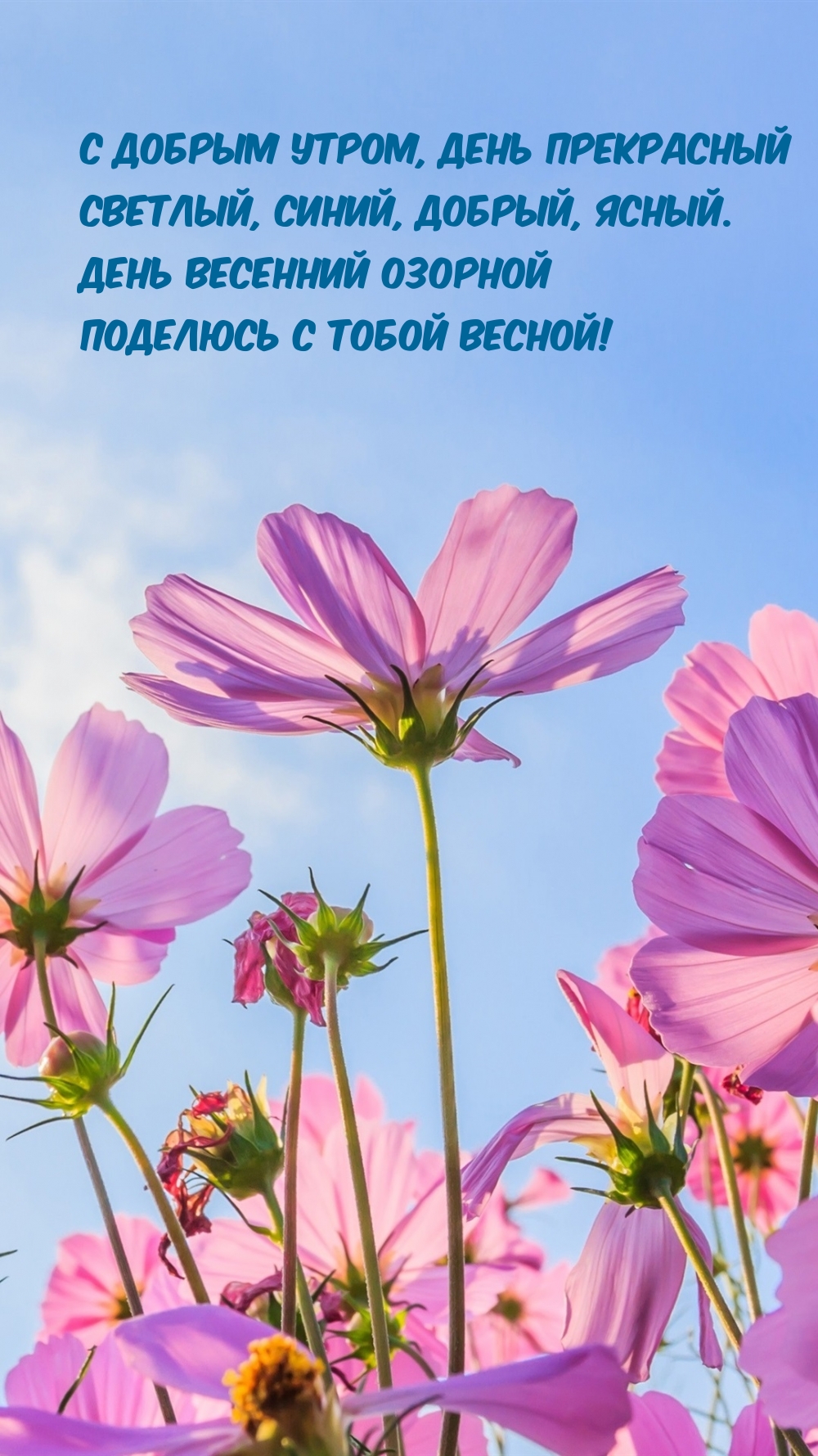 День весенний озорной поделюсь с тобой весной!