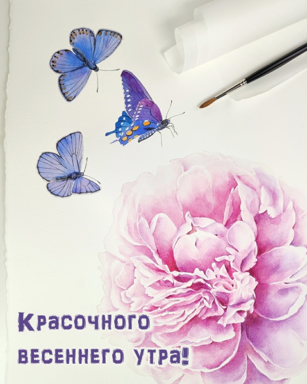 Красочного весеннего утра!