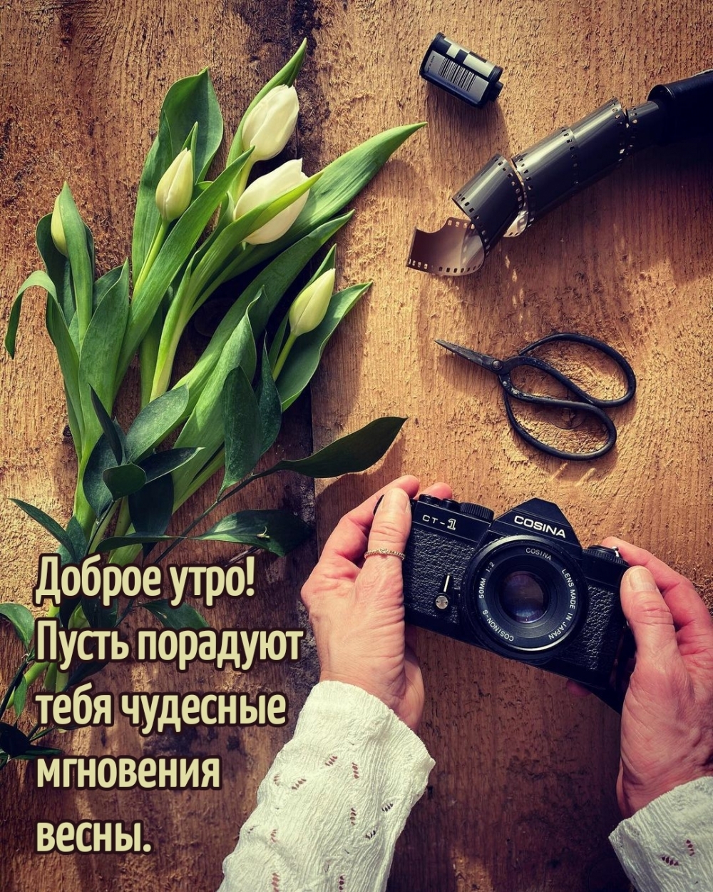 Доброе утро! Пусть порадуют тебя чудесные мгновения весны.