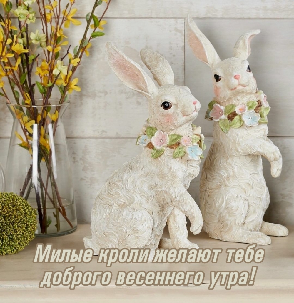 Милые кроли желают тебе доброго весеннего утра!